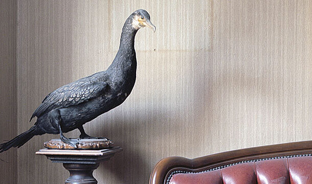 Clic.he n° 30 Animali