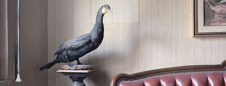 Clic.he n° 30 Animali