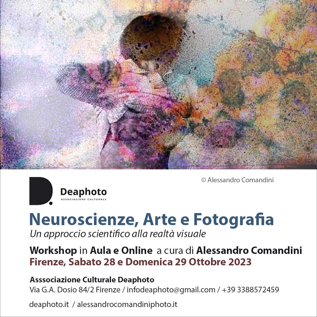 Workshop comandini 2023