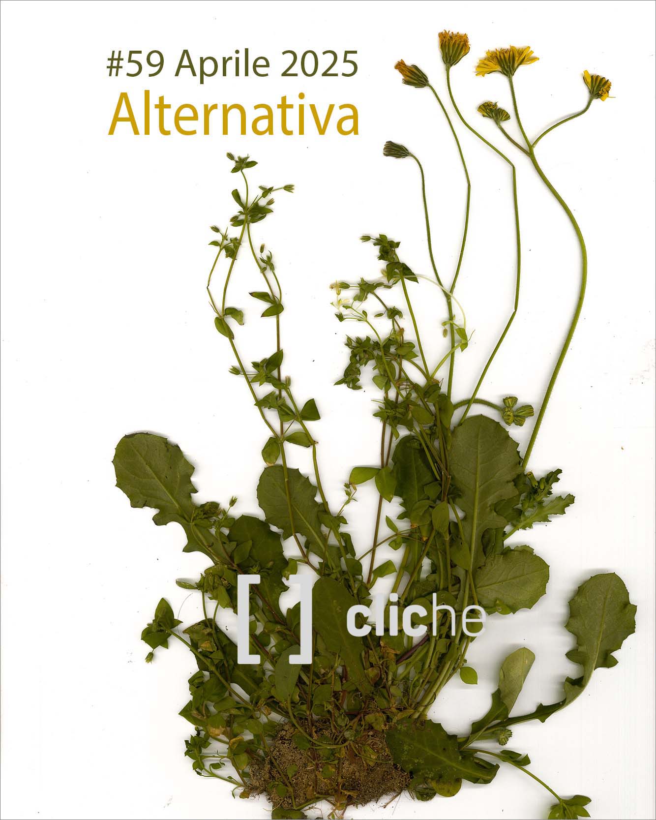 cover clic.hè alternativa